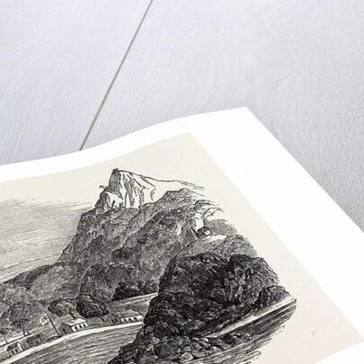 Tigre Island, 1850 by Anonymous