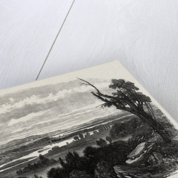 Cook's River Dam, Botany Bay, New South Wales, 1865 by Anonymous