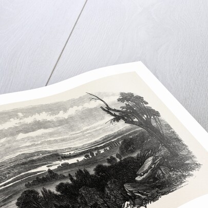 Cook's River Dam, Botany Bay, New South Wales, 1865 by Anonymous