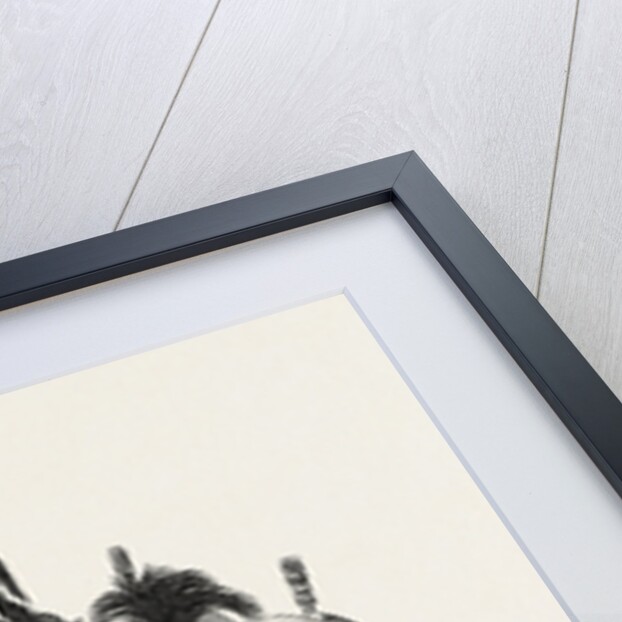 Zulu Kaffirs of Natal, South Africa, 1865 by Anonymous