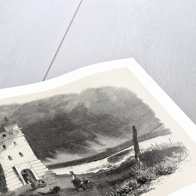 Lighthouse at Green Point, Cape Town, 1865 by Anonymous