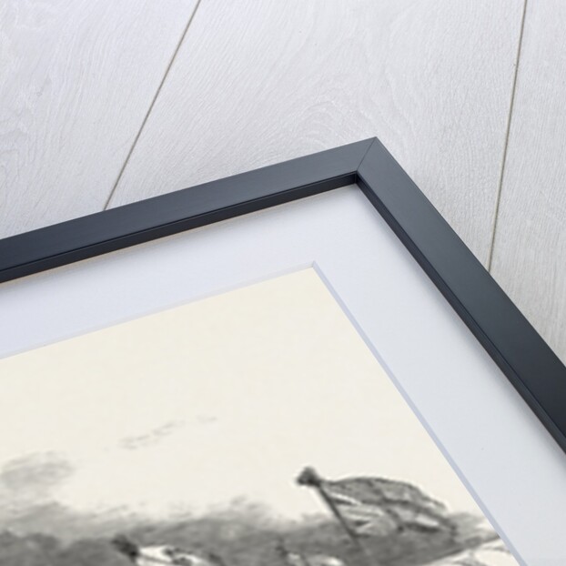 The Northumberland and Newcastle Horticultural Society's Flower-Show. Rotunda of the Tent. UK, 1846 by Anonymous