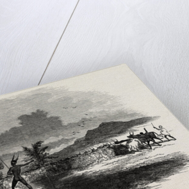 Scene in Kaffirland, May 1, 1846 by Anonymous