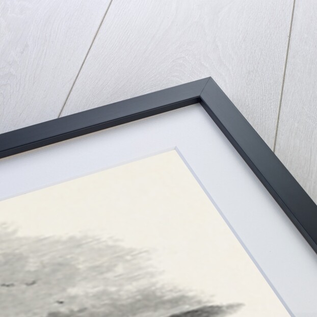 Scene in Kaffirland, May 1, 1846 by Anonymous