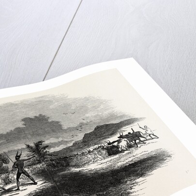 Scene in Kaffirland, May 1, 1846 by Anonymous