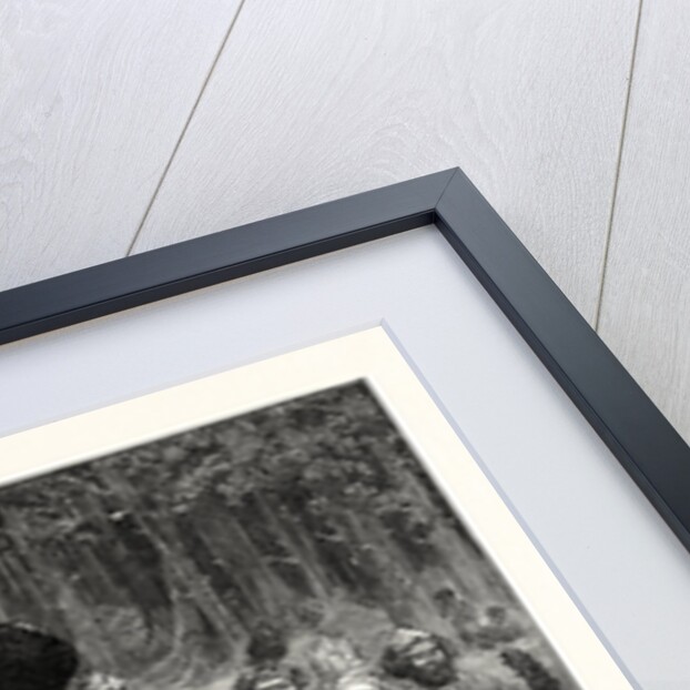 Natives of the Caucasus, North of Mingrelia, 1873 by Anonymous