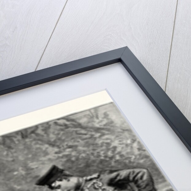 The Silver Wedding Celebration at Berlin: Four Generations of the House of Hohenzollern, 1883 by Anonymous