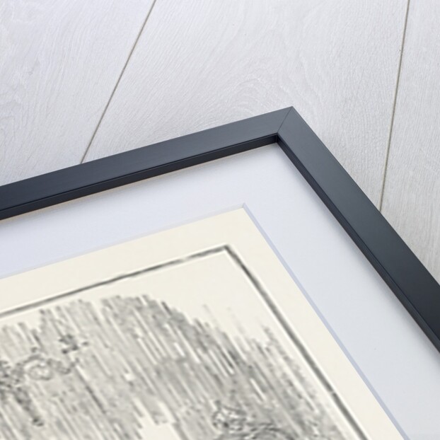 Tom Jones by Anonymous