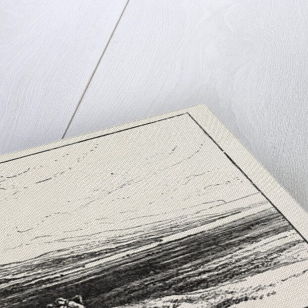 A Scotch Moor by Anonymous