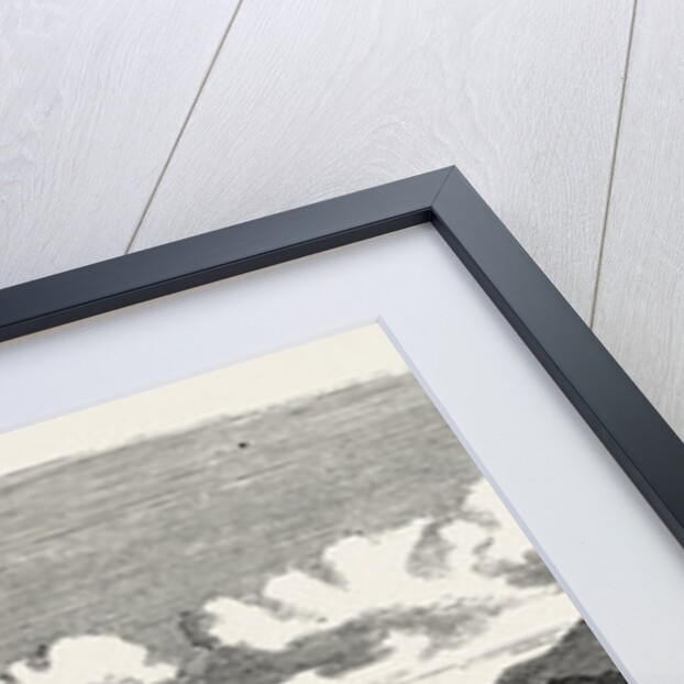 The Inland Sea of Japan: Coast of Sikok, with the City of Marungami and Castle of the Daimeo. 1868 by Anonymous