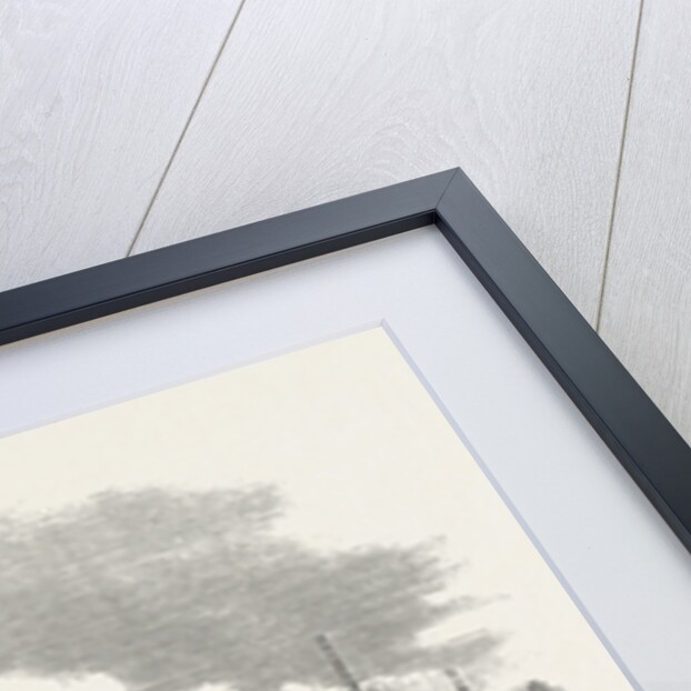 The Museum, Government Buildings, Canterbury, New Zealand, 1868 by Anonymous