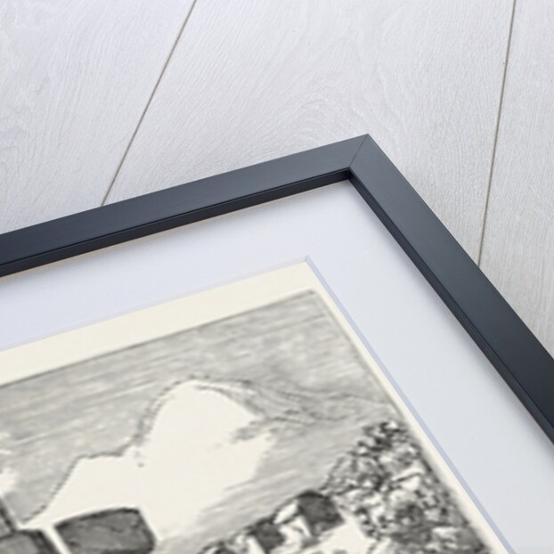 Christmas Pantomimes: Adelphi. Scene from the Christmas Tale of Little Red Riding Hood. UK by Anonymous