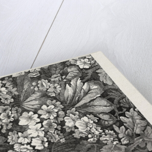 Carpet. Kidderminster. 1851 by Anonymous