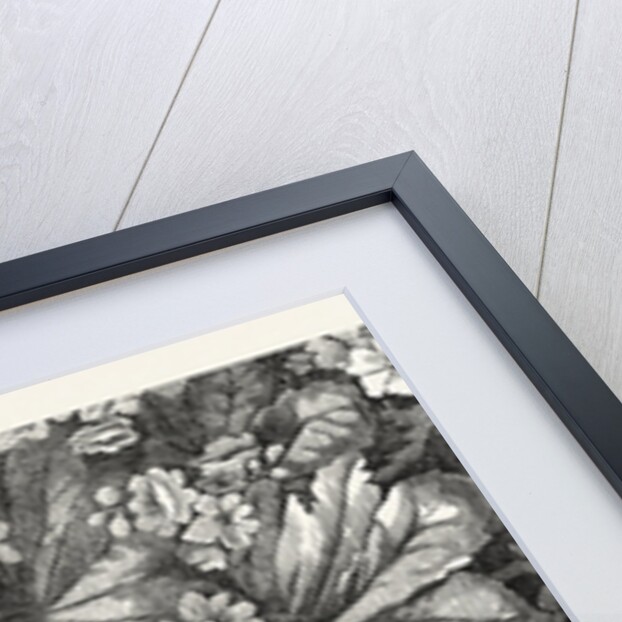 Carpet. Kidderminster. 1851 by Anonymous