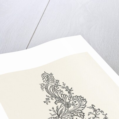 Worked Muslin Dress. 1851 by Anonymous