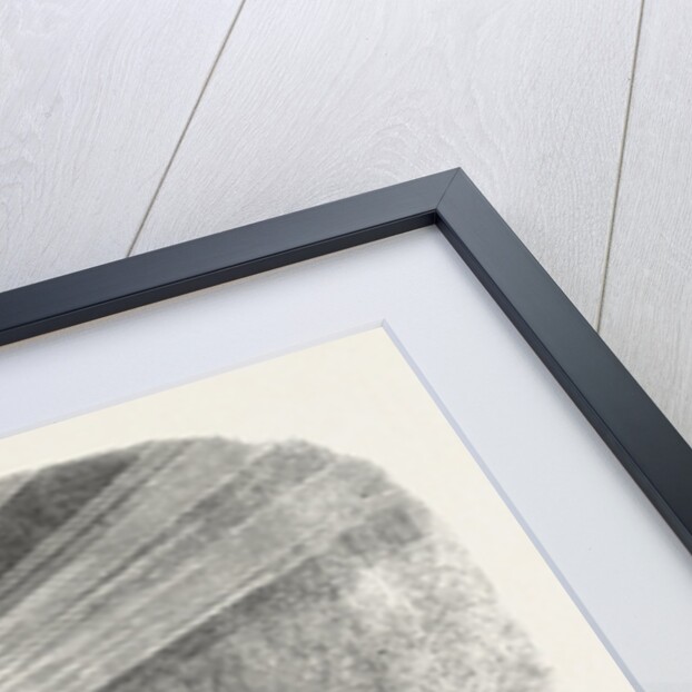 Visit of the Prince of Wales to the Middle Temple: The Fountain Illuminated by Electric Light, 1861 by Anonymous