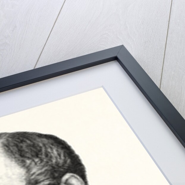 Francis Charles Hastings Russell Duke of Bedford K.G. by Anonymous