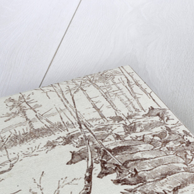 A Shooting Excursion in Turkey: Our Horses Are Seized with Panic and Stampede Madly Through the Forest by Anonymous