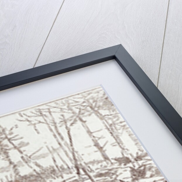 A Shooting Excursion in Turkey: Our Horses Are Seized with Panic and Stampede Madly Through the Forest by Anonymous