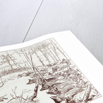 A Shooting Excursion in Turkey: Our Horses Are Seized with Panic and Stampede Madly Through the Forest by Anonymous