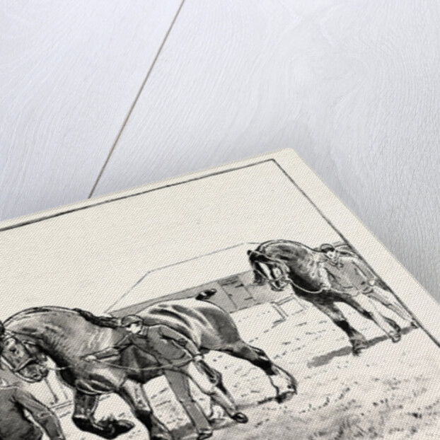 A Parade in Front of the Pavilion in Mr. Gilbey's Paddocks at Elsenham by Anonymous