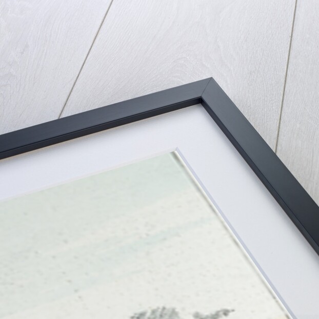 A Lion in South Africa by Anonymous