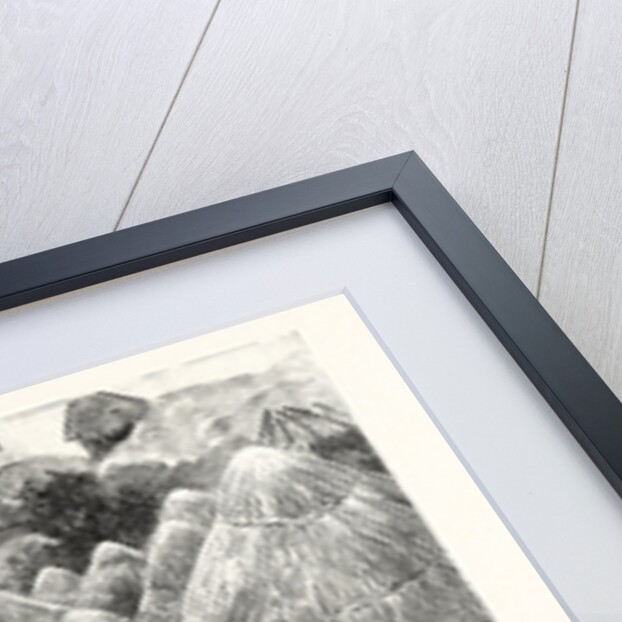 The Collision Between English and Portuguese in Manicaland: Major Forbes and Ten Troopers Arresting Th Portuguese Colonel Paiva D'Andrade and Capitan Gouveia by Anonymous