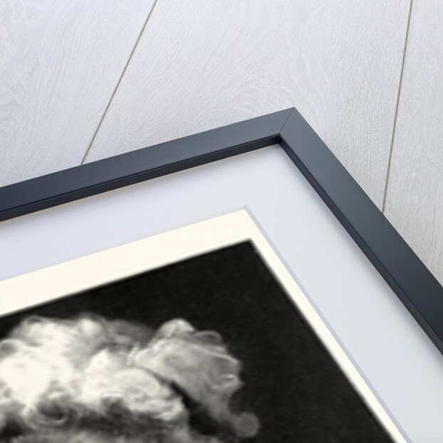 Pierrette Incroyable from the Pastel by Miss Ethel Wright by Anonymous