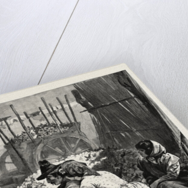 In the Sunny South Packing Oranges in the Marketplace at Seville Spain by Anonymous