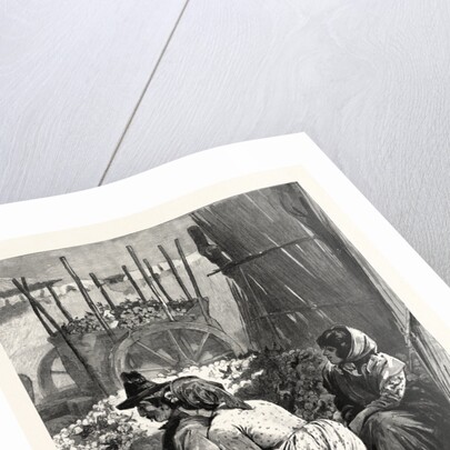 In the Sunny South Packing Oranges in the Marketplace at Seville Spain by Anonymous