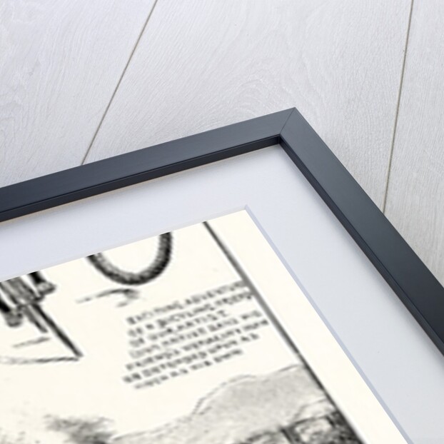 Dangerous and Cunning Snakes by Anonymous