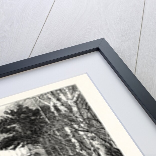 New Year's Ceremonies Before the Shah of Persia at Teheran by Anonymous