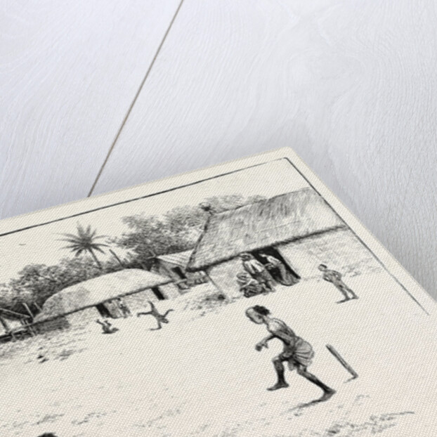 Cricket in India by Anonymous