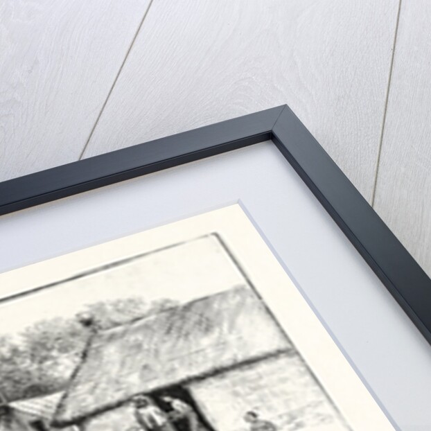 Cricket in India by Anonymous