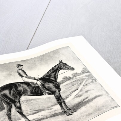 Lord Alington's Common Winner of the Two Thousand Guineas and Favourite for the Derby by Anonymous