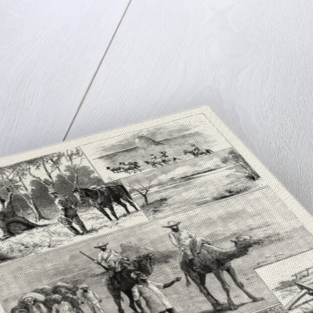 An Exploring Party in Australia by Anonymous