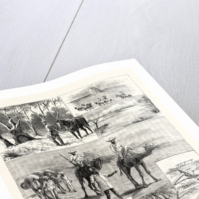 An Exploring Party in Australia by Anonymous