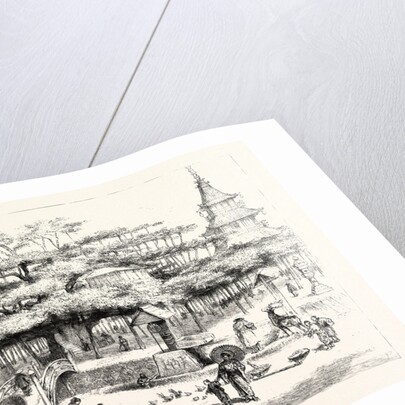 The Dai Matsu or Giant Pine Tree of Japan on the Western Shore of Lake Biwa by Anonymous