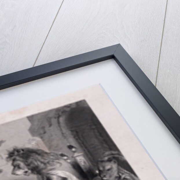 Reynard's Trial by Anonymous