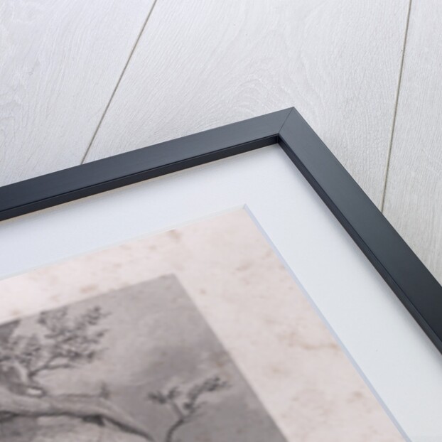 The Road to Execution by Anonymous