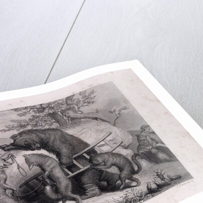 The Road to Execution by Anonymous