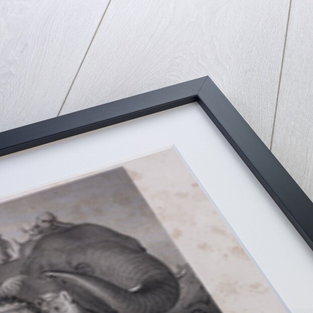 Reynard at the Place of Execution by Anonymous