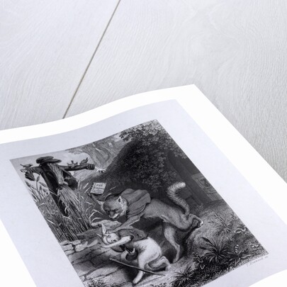Reynard and the Coney by Anonymous