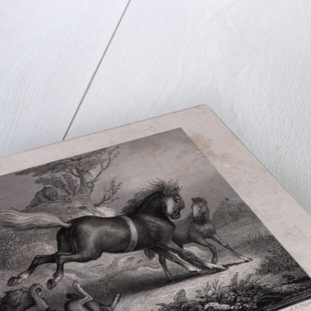 The Mare and the Wolf by Anonymous