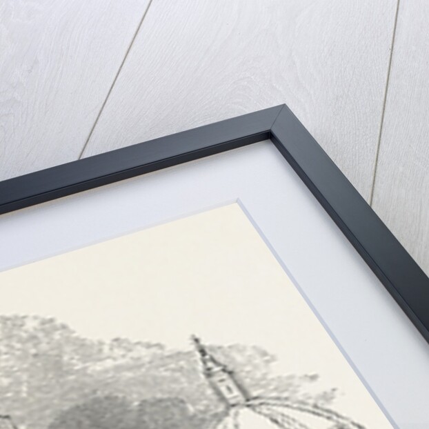 Column of Trajan. Rome Italy by Anonymous