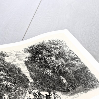 Avenue in Boboli Gardens by Anonymous