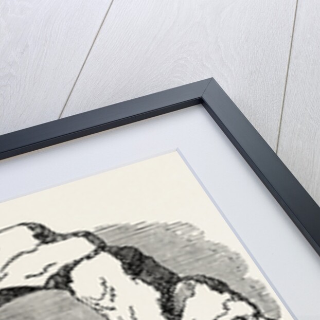 Doorway from Bird-Oswald by Anonymous