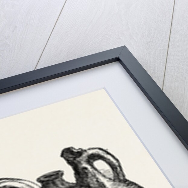 Roman Urns by Anonymous