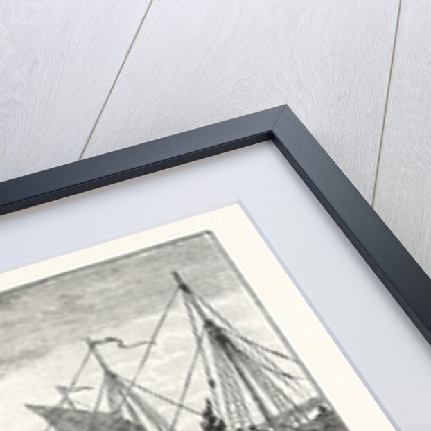 Danish Ships by Anonymous