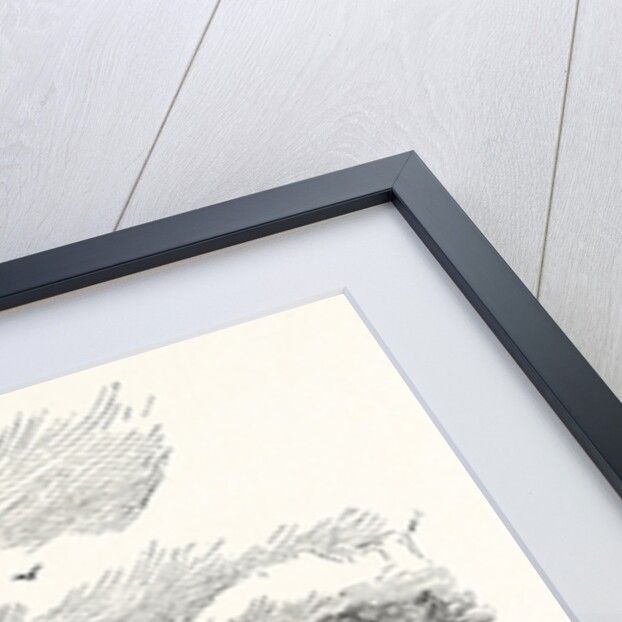 Pevensey Castle by Anonymous